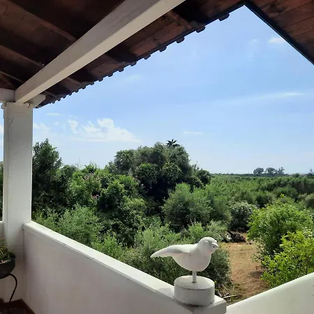 Wunderschone Mit Grossem Pool Und Meerblick Villa Kalo Nero